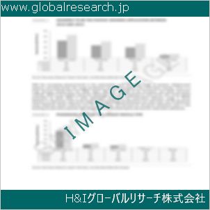 グローバルリサーチ調査資料のイメージ